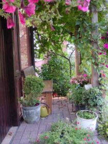 meine Weinlaube zum Träumen 1.jpg